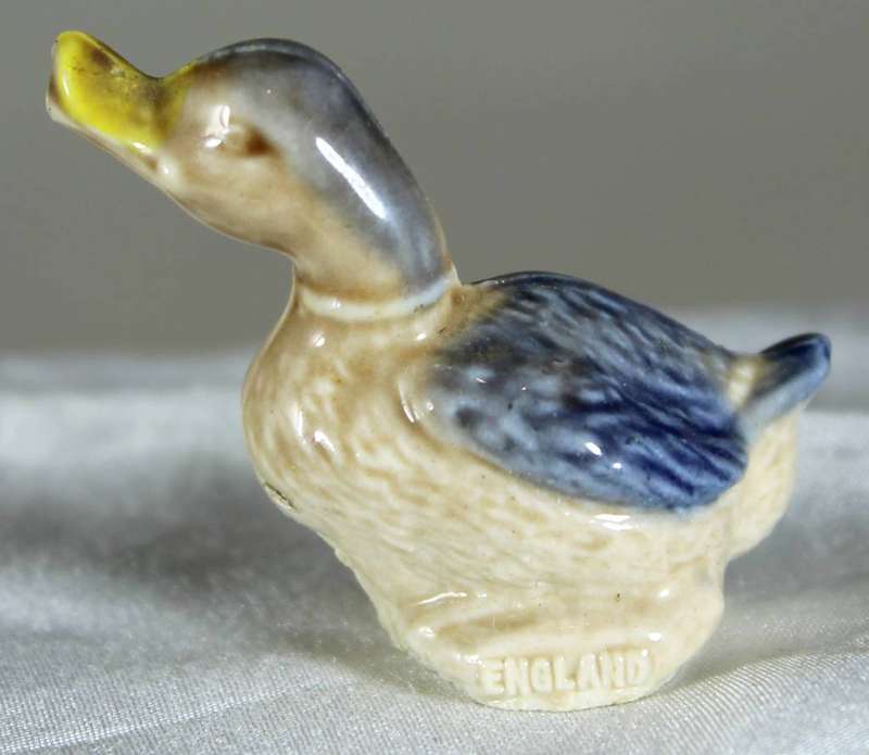 Wade duck