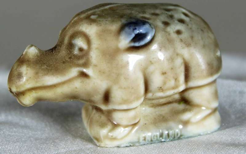 Wade - Hippo
