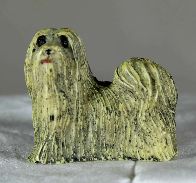 Lhasa Apso doggy standing