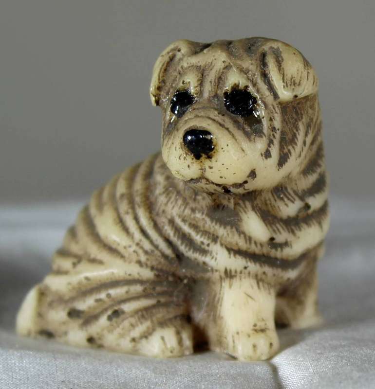 Miniature Shar-Pei