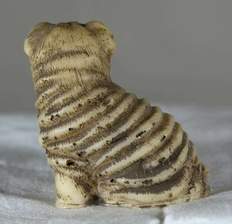 Miniature Shar-Pei