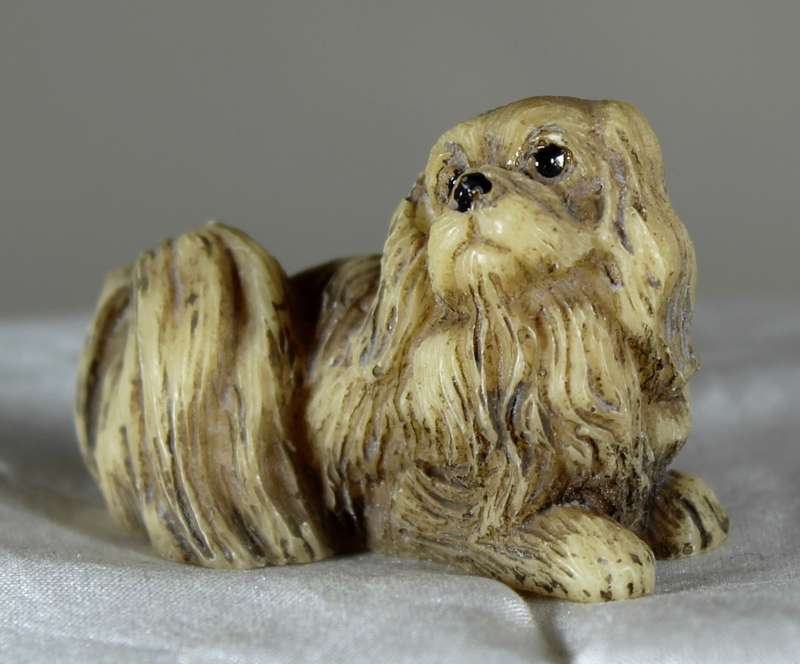 Shih Tzu sitting