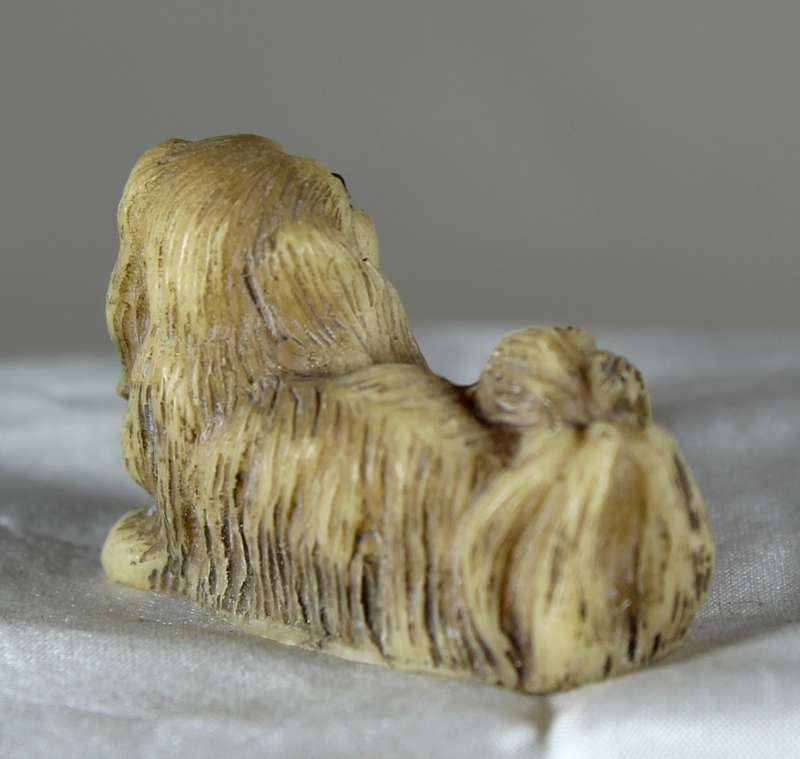 Shih Tzu sitting