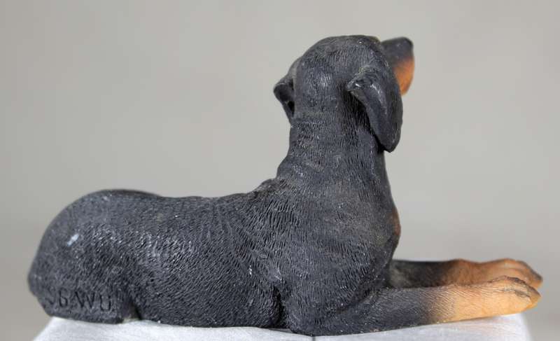 Doberman laying down