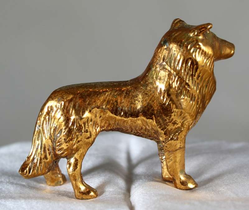 Copper over lead Collie