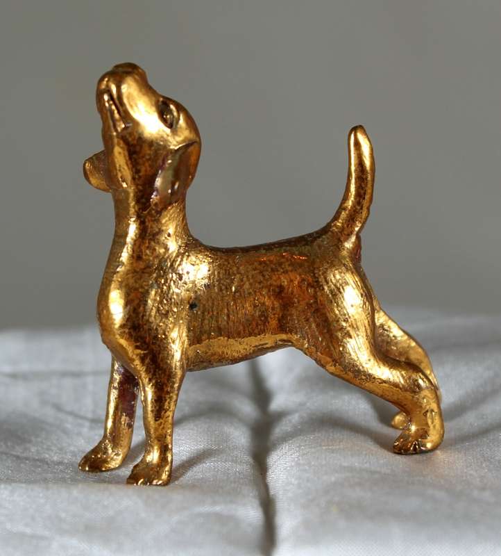 Copper over lead doggy with nose in the air