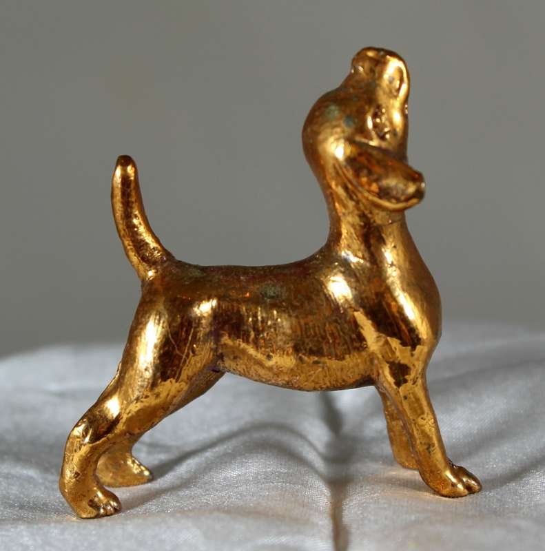Copper over lead doggy with nose in the air