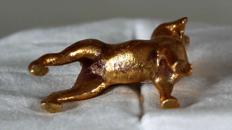 Copper over lead doggy with nose in the air