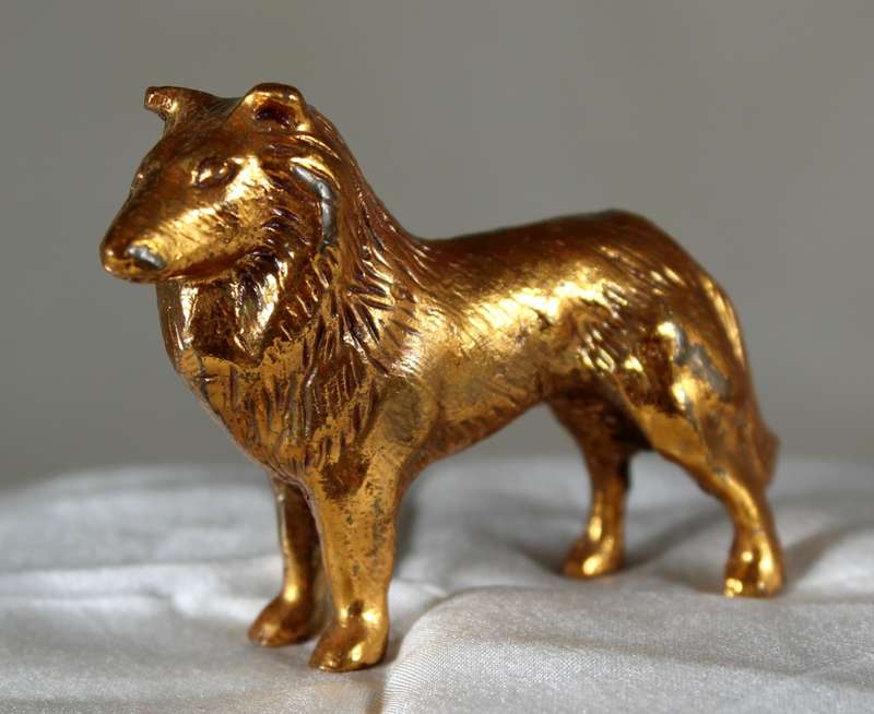 Copper over lead Collie