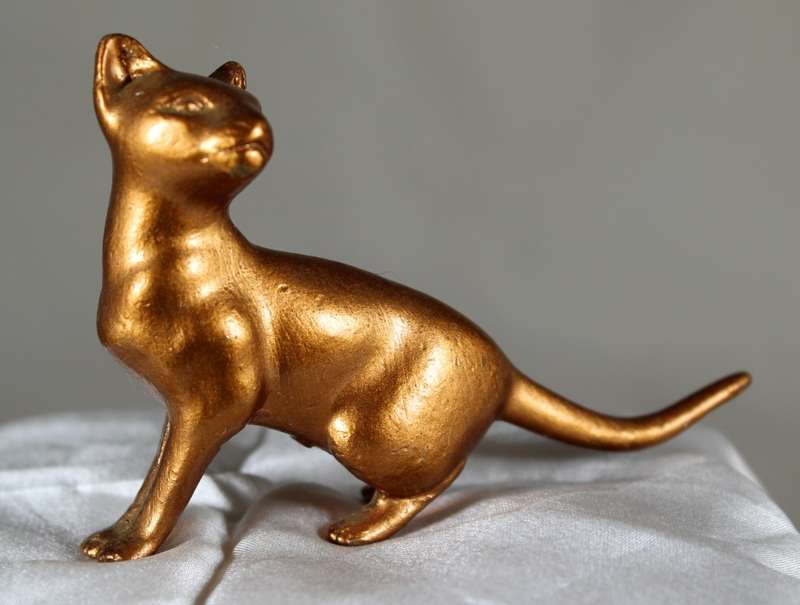 Copper over lead cat playing