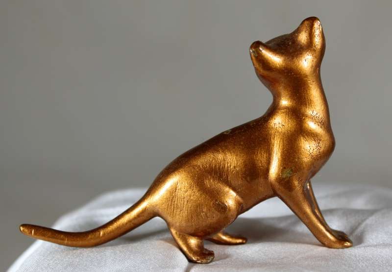 Copper over lead cat playing