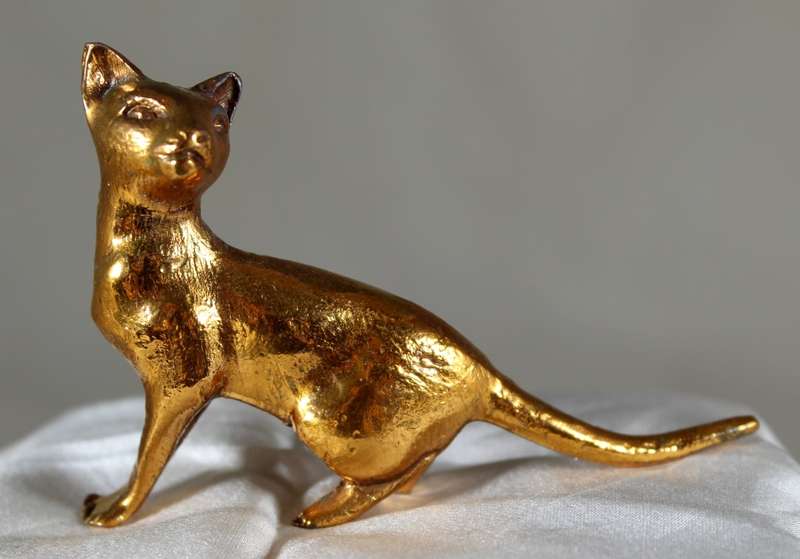 Copper over lead cat playing