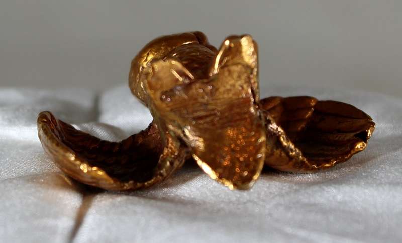 Copper over lead owl