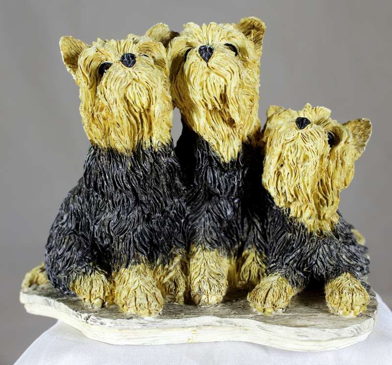 Dog collection - A24207 - Yorkshire terriers (Light)