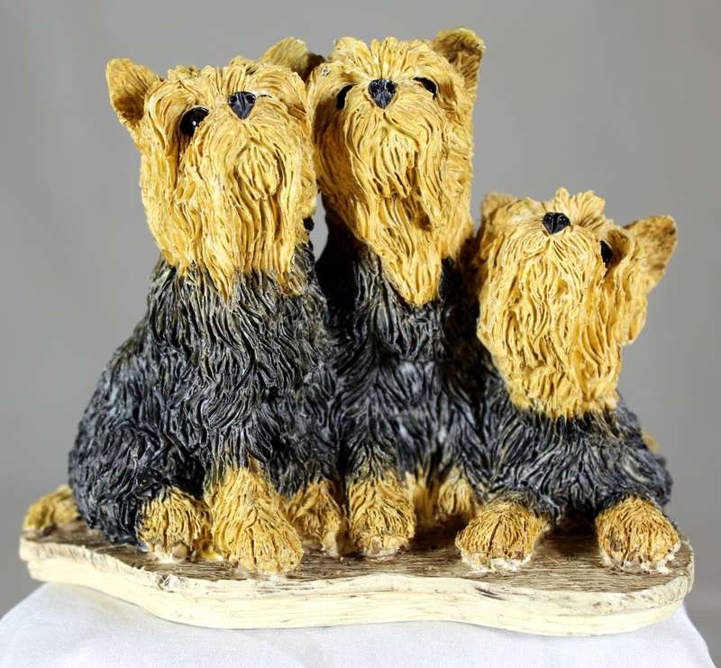 Dog collection - A24207 - Yorkshire terriers (Dark)