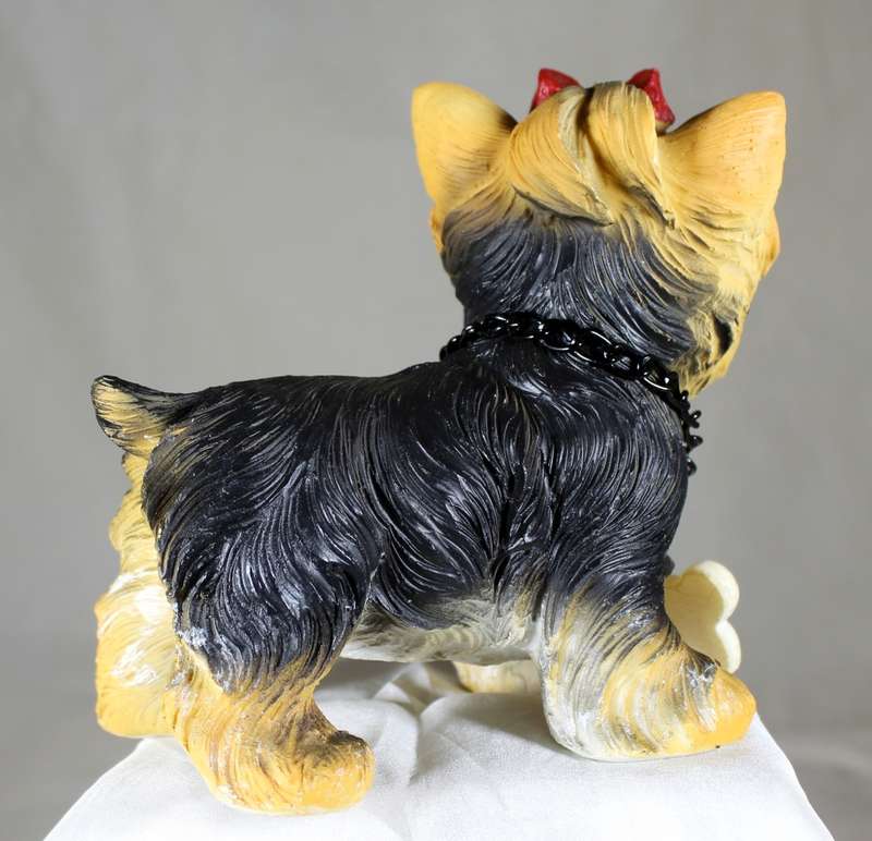 Yorkshire terrier `welcome` with bow