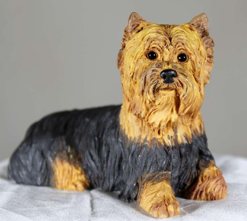 Dogs & pups galore - A3043 - Yorkshire terrier laying down