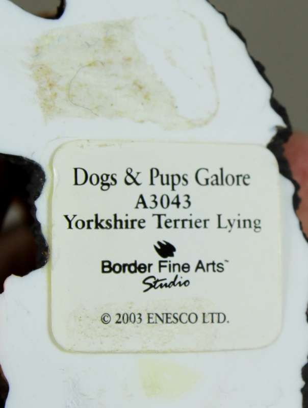 Dogs & pups galore - A3043 - Yorkshire terrier laying down