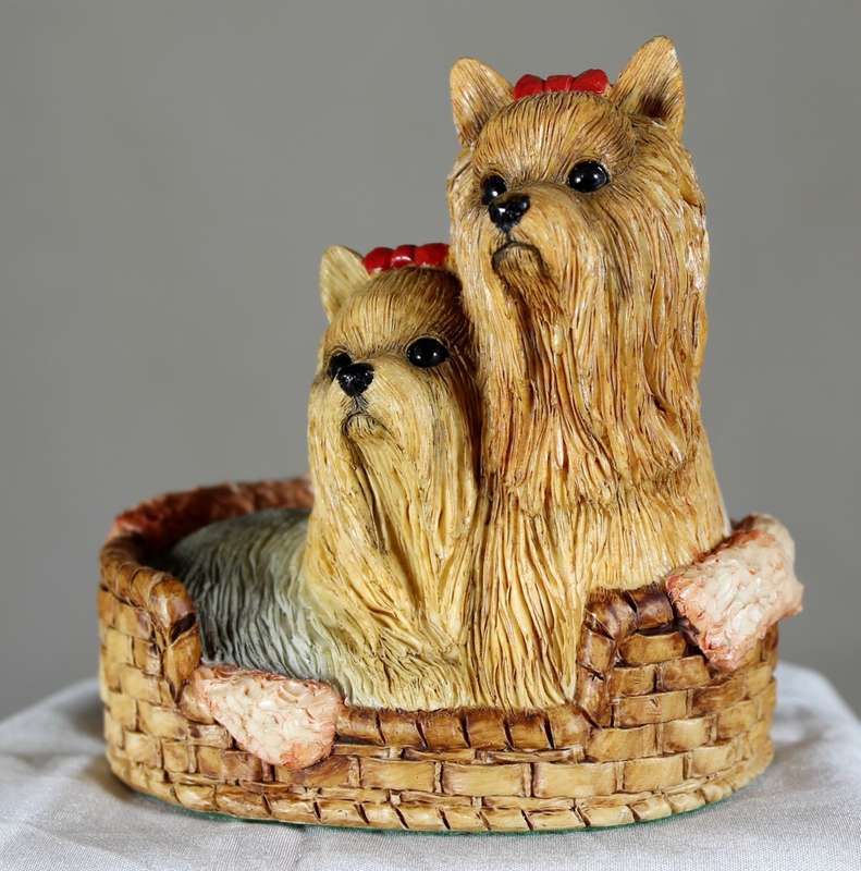 Yorkshire terriers with bows in basket