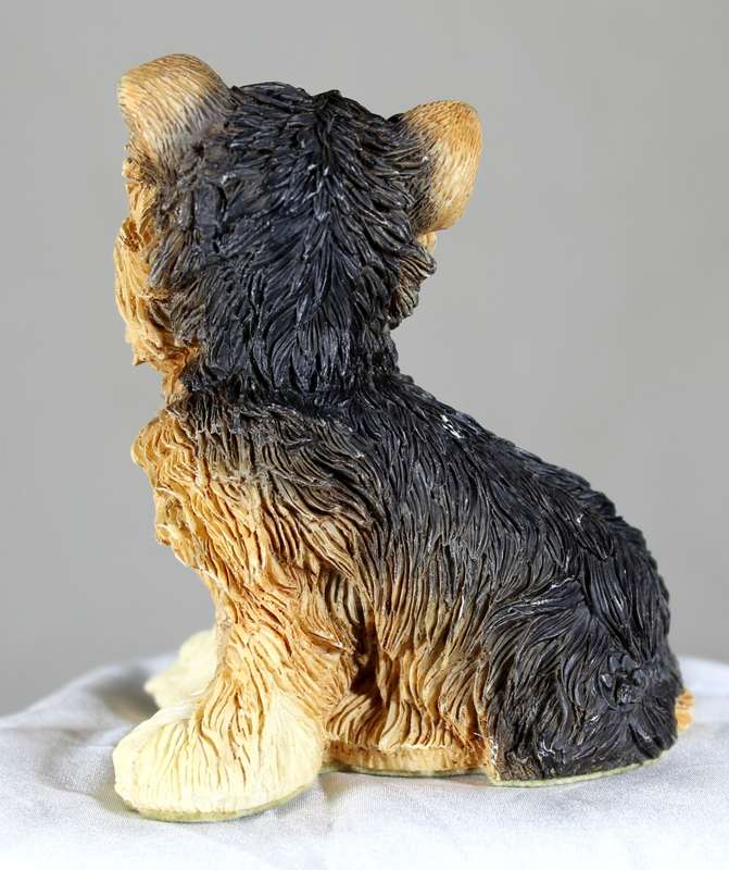 Yorkie puppy sitting