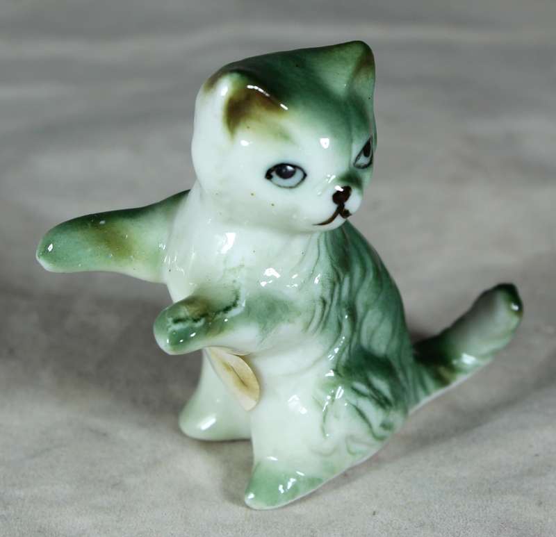 Cat playing