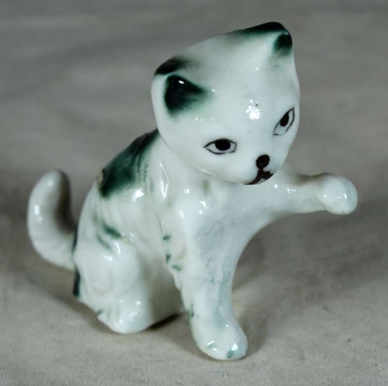 Cat giving one paw