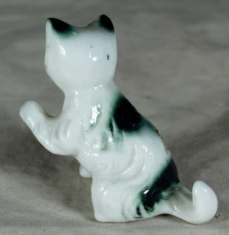 Cat giving one paw