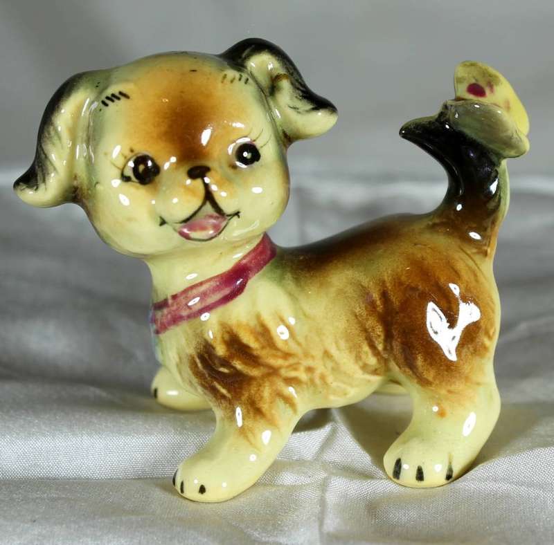 Puppy with butterfly on tail