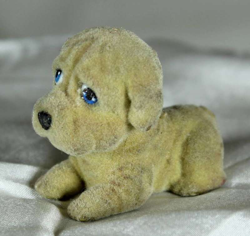 Puppy in my pocket families - puppy frowning blue eyes