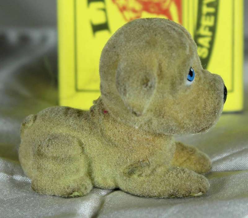 Puppy in my pocket families - puppy frowning blue eyes