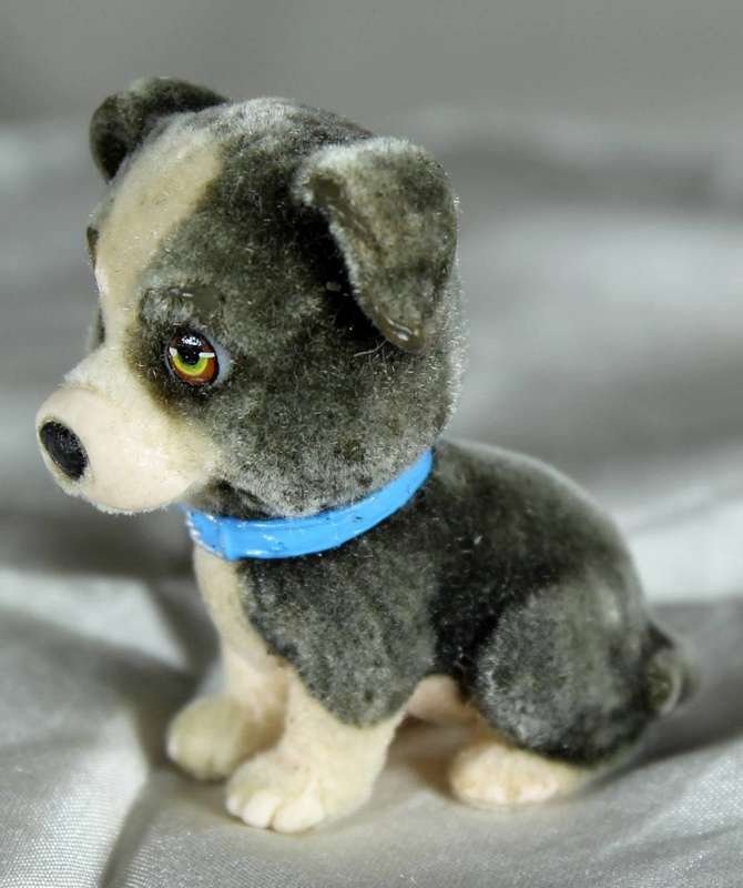 Puppy in my pocket families - puppy with blue collar