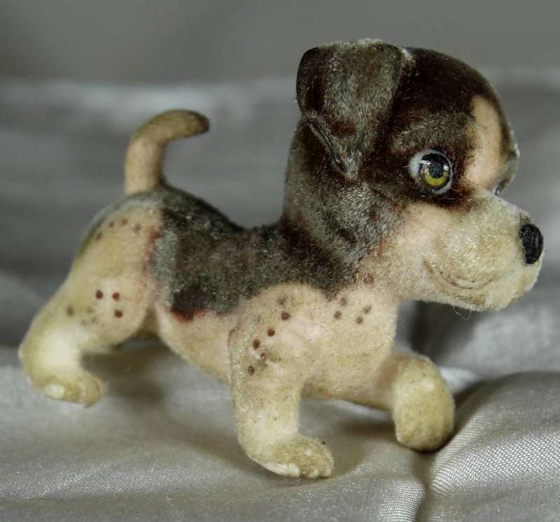 Puppy in my pocket families - playful puppy