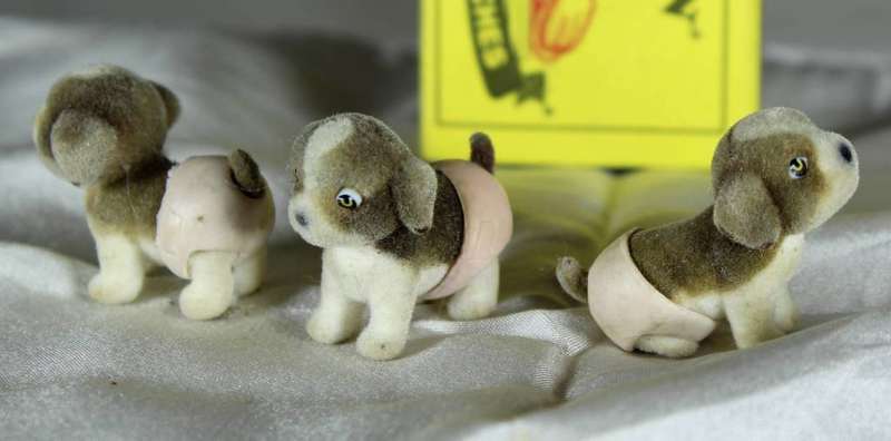 Three puppies in my pocket in diapers