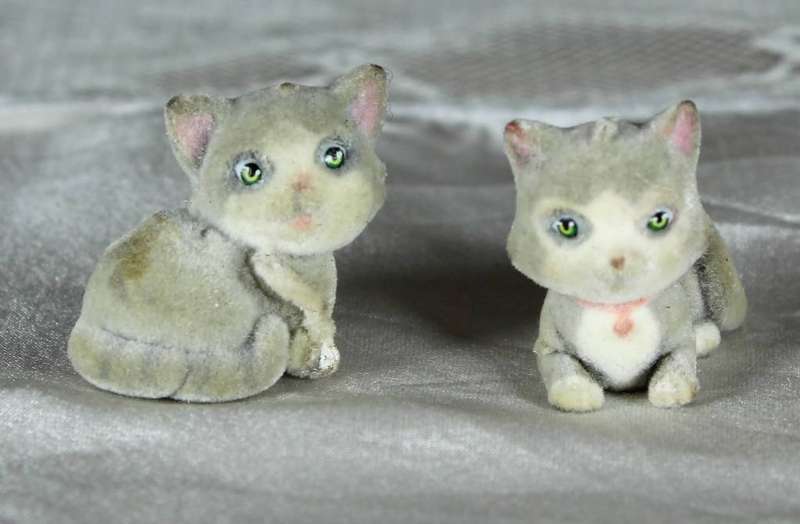 Two grey and white kittens
