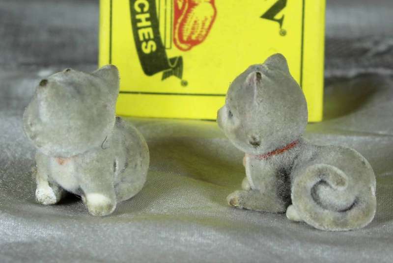 Two grey and white kittens