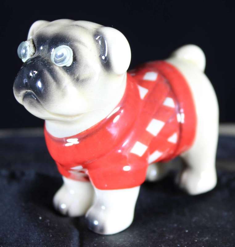 Pug with googly eyes and jersey