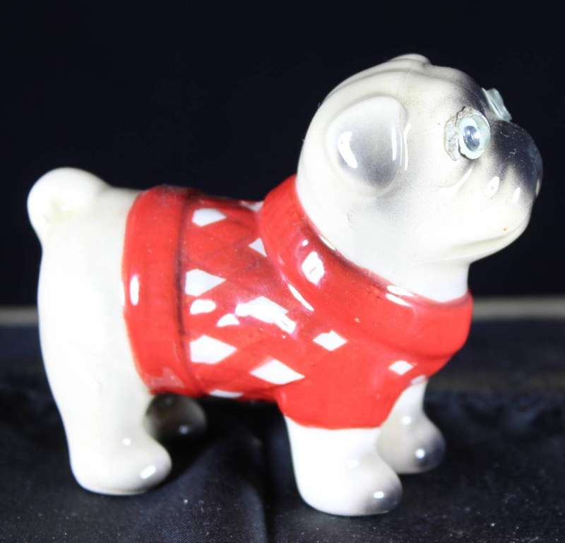 Pug with googly eyes and jersey