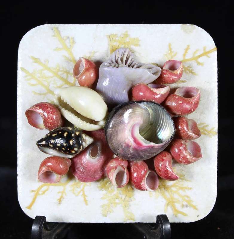 Shell art - square magnet