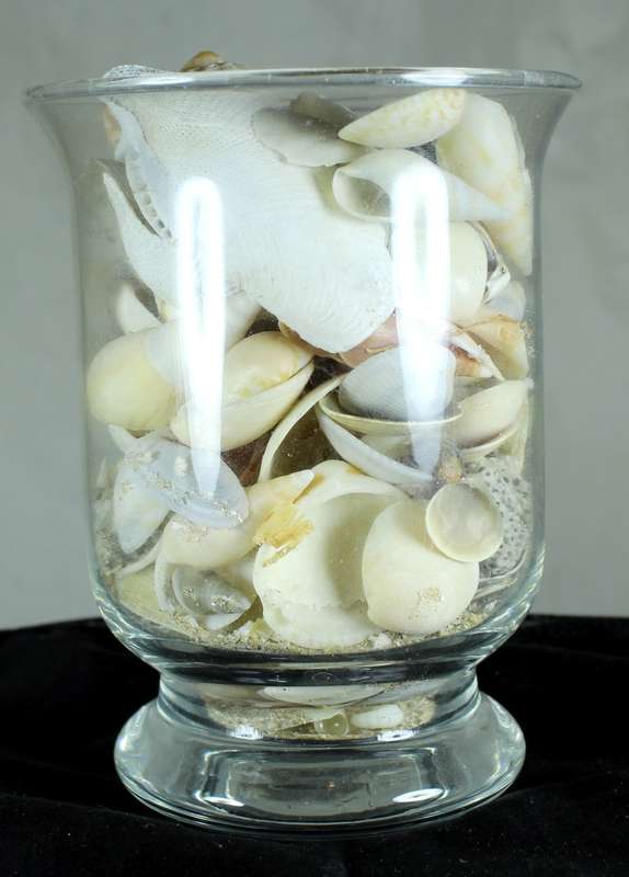 Glass vase with assorted sea shells