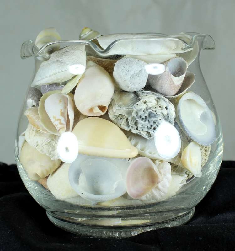 Glass vase with assorted sea shells