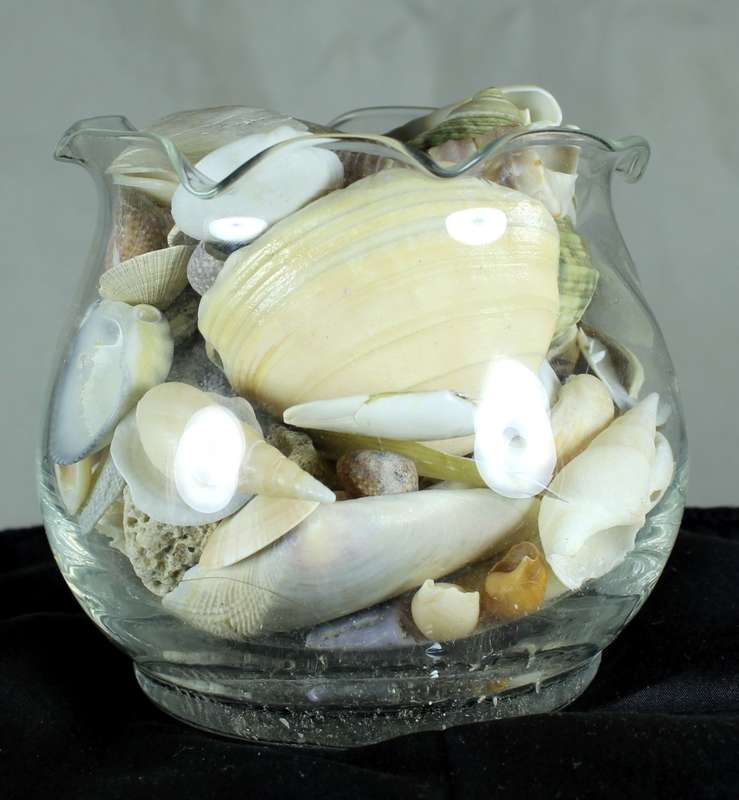 Glass vase with assorted sea shells