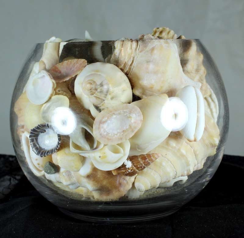 Glass vase with assorted sea shells