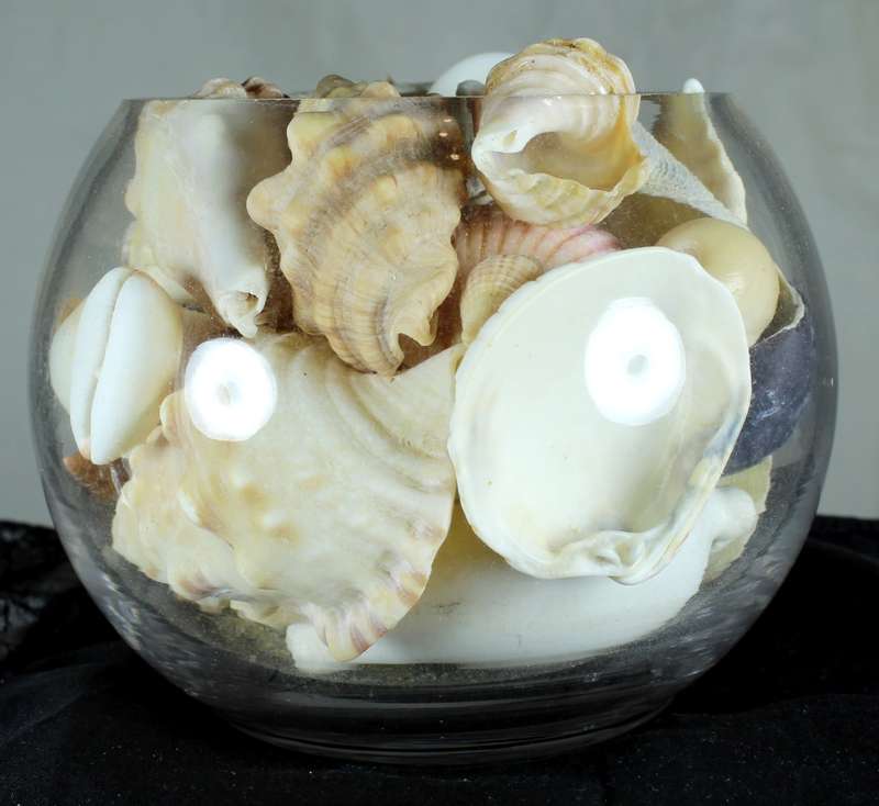 Glass vase with assorted sea shells