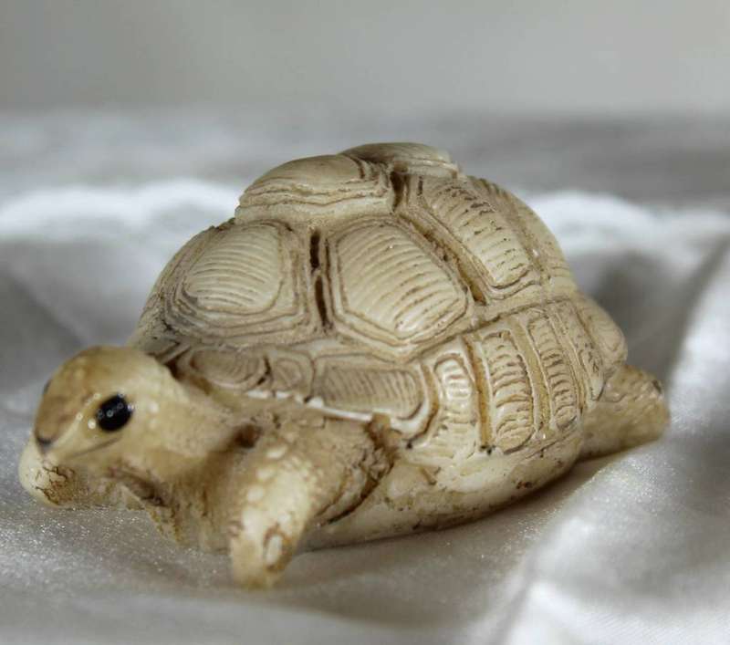 Miniature turtle