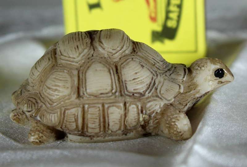 Miniature turtle