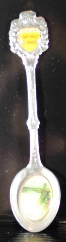 Souvenir tea spoon - Hartbeespoort