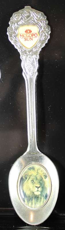 Souvenir tea spoon - Molopo Sun