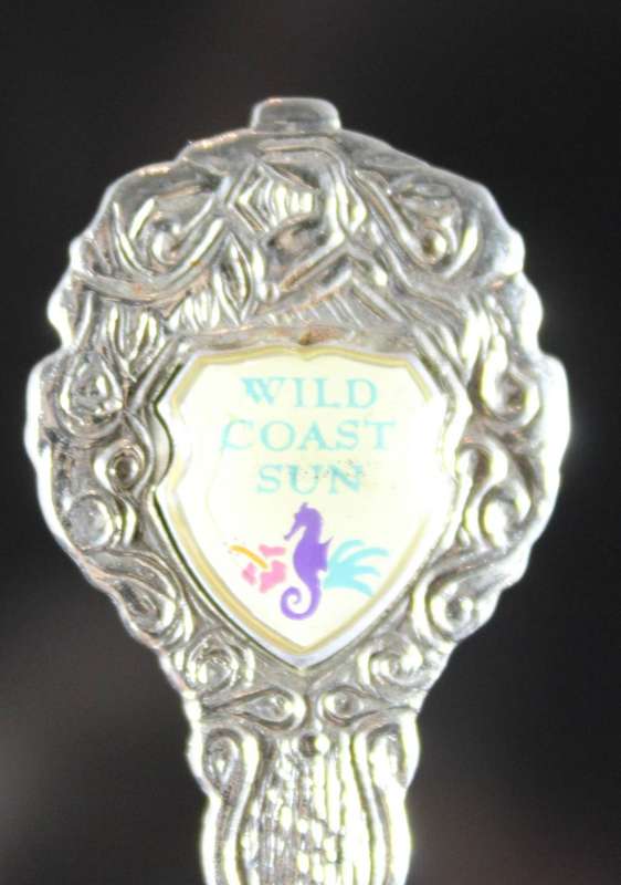 Souvenir tea spoon - Wild Coast Sun