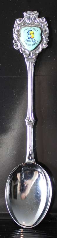 Souvenir tea spoon - Wild Coast Casino Beach