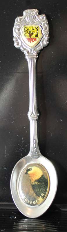 Souvenir tea spoon - Orpen